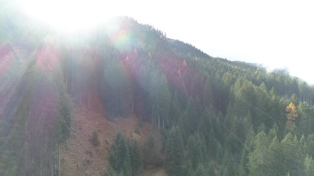 Tempesta Vaia in Trentino - Drone