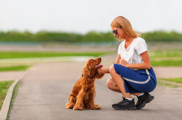 Young attractive woman with spaniel dog