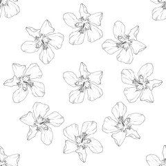 Seamless pattern. Plant in blossom, branch with flower ink sketch. Template for a business card, banner, poster, notebook, invitation, color book