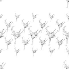 Seamless pattern. Plant in blossom, branch with flower ink sketch. Template for a business card, banner, poster, notebook, invitation, color book