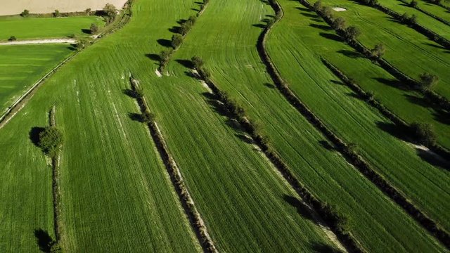 prado verde con viento polop sierra mariola espa&ntilde;a primavera