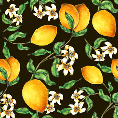Lemon Seamless Pattern hand painted in watercolor