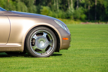 Sports car on the lawn