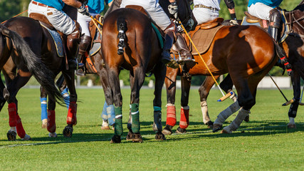 Game of Polo