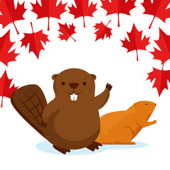 beaver with canada leaves to happy celebration holiday © Gstudio