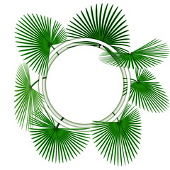 Fototapeta na wymiar Green tropical palm leaves. In the circle. Advertising space. illustration