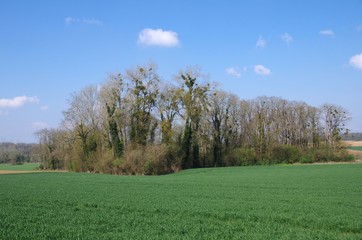 Rural landscape near Paris in France, Europe