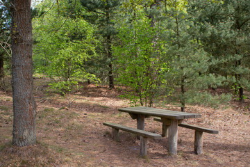 Rastplatz Rastst&auml;tte im Wald