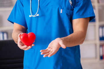 Male doctor cardiologist holding heart model 
