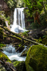 Fototapeta na wymiar Shower falls, Meander, Split Rock Track, Tasmania