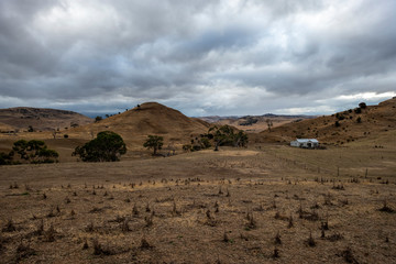 Victoria Valley Road, Landscape, Tasmania, Australia