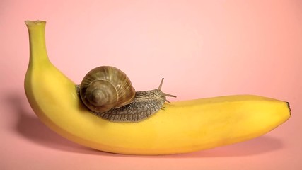 Bright yellow banana on a pink background. Top view