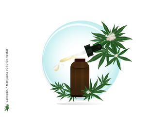 Beautiful banner of Pure extract oil from Cannabis or Marijuana flower and leaf with CBD strain for medical treatment by droped under the tongue and absorbed into patient illustration for advertizing