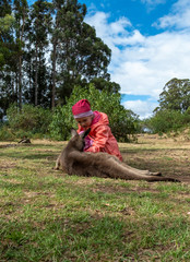 Little girl in pink and read clothes plays in kangaroo. Tasmania. Australia.
