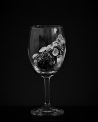 Liqueur glass - wine glas -full of sea shell drink