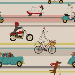 Tapeten Tiere im Transport Lustige Hunde, die Fahrzeuge nahtloses Muster fahren.