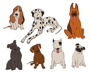Fototapeta premium Collection Of Dog Breeds Icons