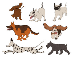 Collection Of Dog Breeds Icons