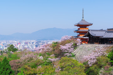京都　清水寺の三重塔と桜