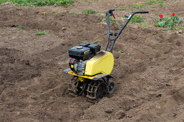 Tractor in the field