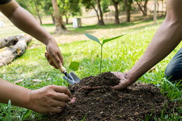 The young man used Siem to dig the soil to plant trees in his backyard during the day. And the...