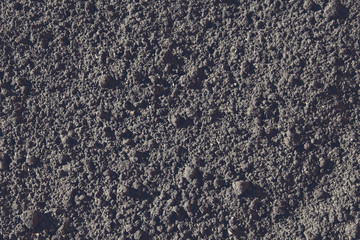 Black soil. Close-up. Background. Texture.