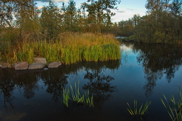 Obraz premium Russia. republic of karelia. Ducts and backwaters of the river Vuoksa near the historic medieval fortress Korela.