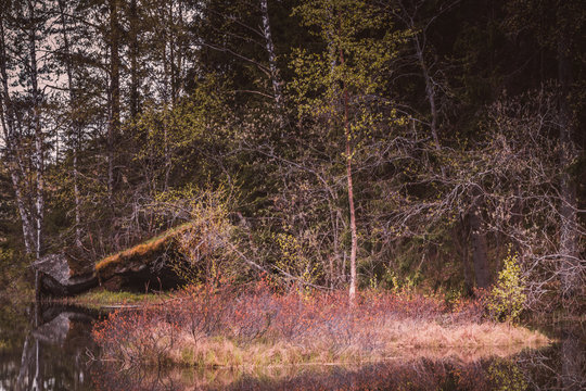 Innsjø Images – Browse 31 Stock Photos, Vectors, and Video | Adobe Stock