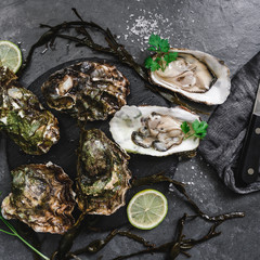 Fresh opened oysters with lemon, spices, salt, a knife and seaweed on slate stone background. Seafood, Shellfish, top view, flat lay, copy space