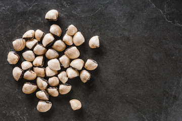 Raw clams on slate stone background. Seafood, Shellfish, top view, flat lay, ma.cro