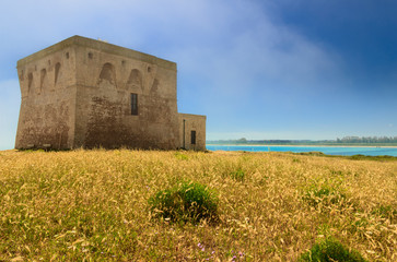 Nature Reserve of Torre Guaceto, Brindisi (Apulia)-ITALY- Nature sanctuary between the land and the sea: the medieval guard tower and in the background the sandy beach.