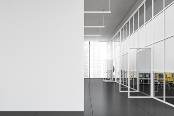 Fototapeta na wymiar Empty office hall interior with mock up wall