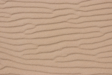 Fine beach sand in the summer sun