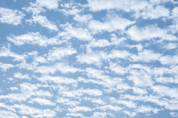 cloud and blue sky