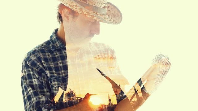 Agronomist using tablet computer in corn field, close up of male farmer using modern device and app in agricultural production, double exposure footage