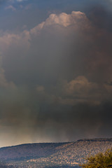 Gewitterwolken über der Serengeti