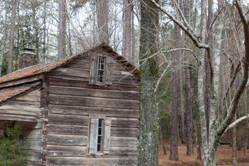 Fototapeta na wymiar Log cabin outdoors in the woods