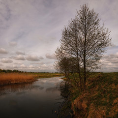 Fototapeta na wymiar Belarus river