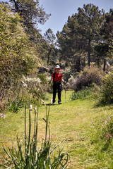 Obraz premium Woman doing trekking in nature
