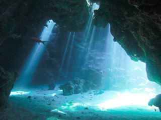 Underwaterphoto of scenery with sunlight and beams underwater