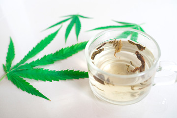 Cannabis(marijuana) tea with cannabis leave,  Alternative medicine, Medical cannabis.