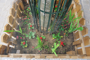 Fototapete bei efototapeten.de bestellen   