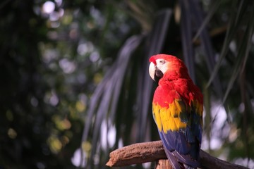 colombia