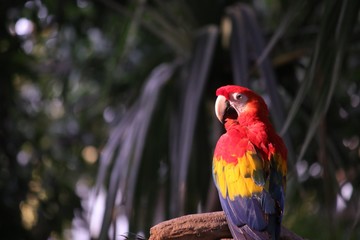 colombia