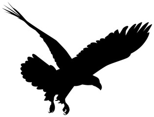 Silhouette ou logo noir d'aigle