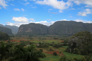 Fototapeta na wymiar Valle de Vinales- Kuba