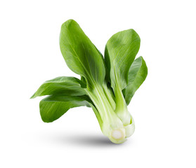 Bok choy vegetable isolated on the white background. full depth of field