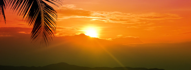 Sunset golden hour sky with sun over mountain and palm leaf for summer vacation wide banner background