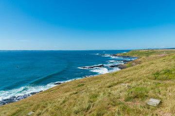 Natural and animals in Phillip Island