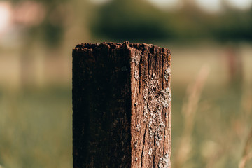 old wooden fence